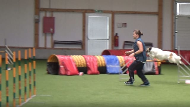 Mara und ich beim zweiten Lauf (Agi² Mai 1.5.2019)