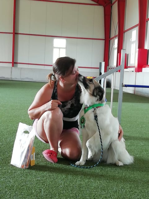 Mara gibt mir ein Küsschen auf die Wange (Agility Funny Bones Trophy 2019 - 1. Tag 20.6.2019)