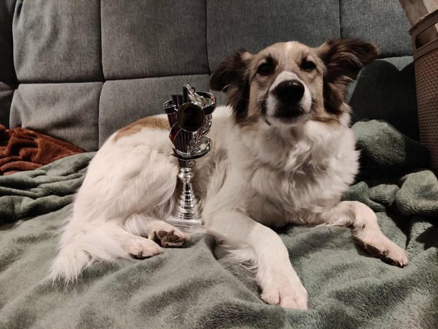 2. Platz Cupwertung AG Winterturnier