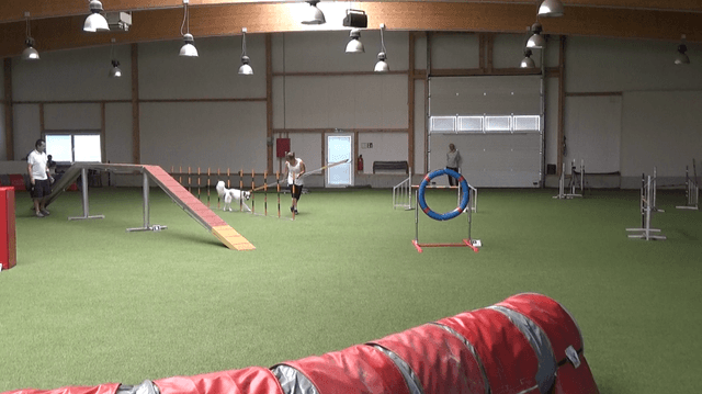 Mara schlängelt durch den Slalom (Agi² Juni 8.6.2019)