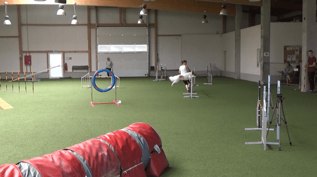 Mara springt über eine Hürde (Agi² Juni 8.6.2019)