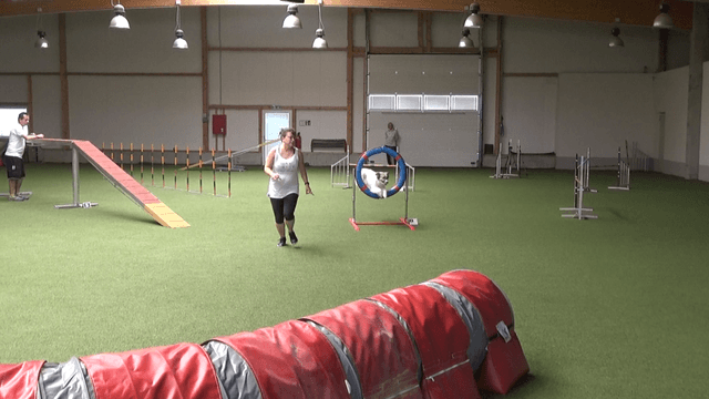 Mara springt durch den Reifen (Agi² Juni 8.6.2019)