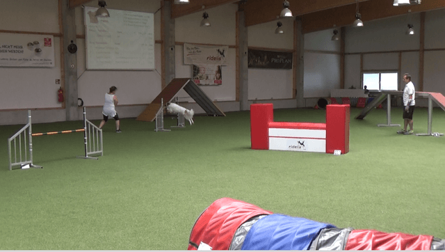 Mara springt über eine Hürde (Agi² Juni 8.6.2019)