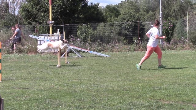 Mara springt über Hürde (1. Breitenleer Cup - 12.7.2020)