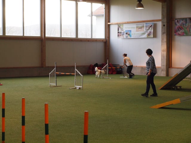 2. Icebear Cup