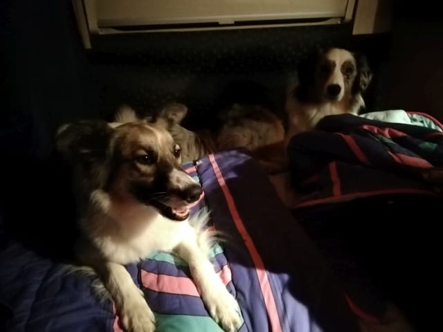Mara und Jean im Wohnmobil