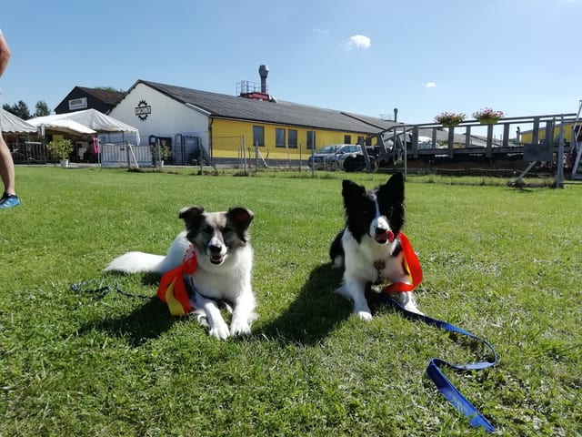 Mara und Mo mit ihrer Rosette (Ready to run Sommerturnier)