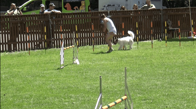 Mara geht durch den Slalom (24. Pfingstbrunch 9.6.2019)