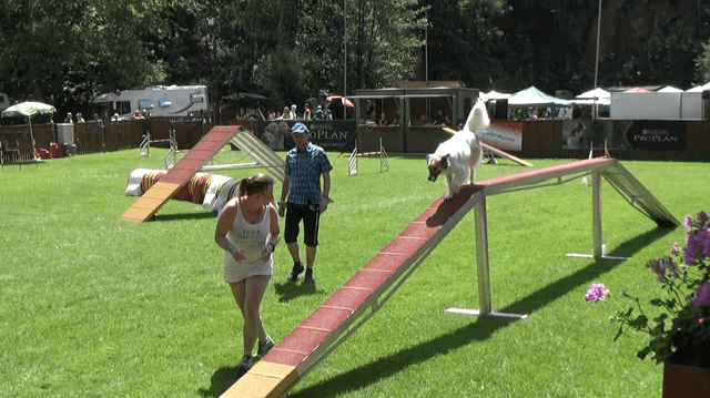 Mara rennt über den Steg (24. Pfingstbrunch 9.6.2019)