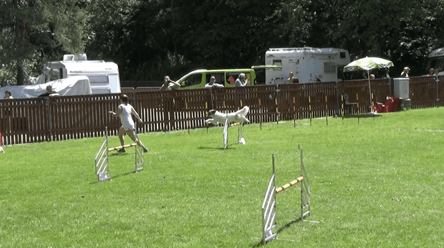 Mara hüpft über eine Hürde (24. Pfingstbrunch 9.6.2019)