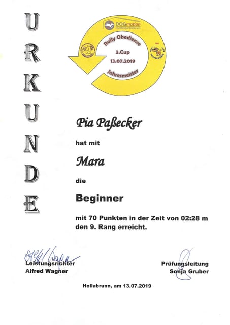 Urkunde 3. RO-Jahresmeister 9. Platz (13.7.2019)