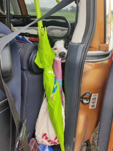 Ylvie im Auto (ÖM 2023)