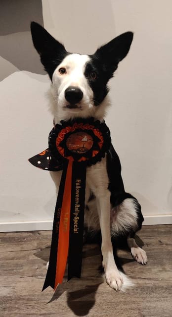 Ylvie Rosette