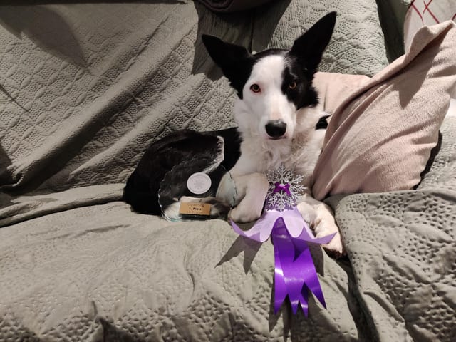 Ylvie mit ihrer Medaille & Pokal (SnowMOTION-Cup 2023-24)