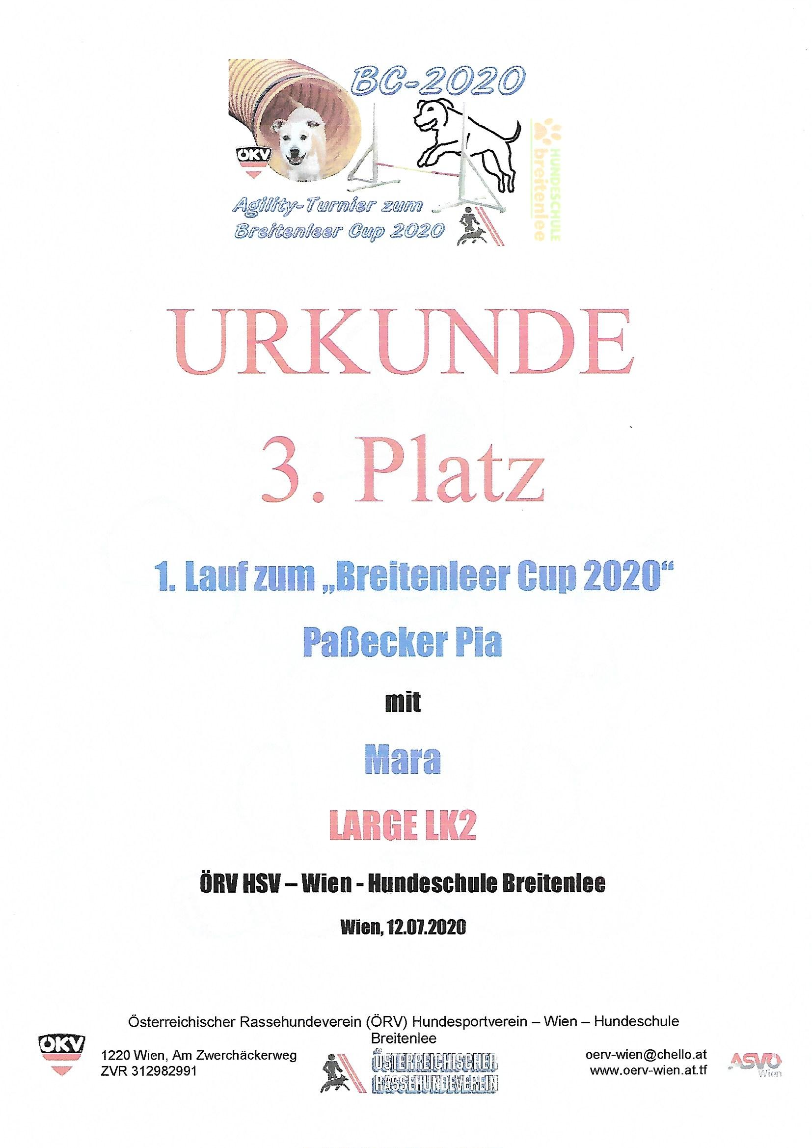 3. Platz Urkunde (1. Breitenleer Cup - 12.7.2020)