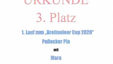 3. Platz Urkunde (1. Breitenleer Cup - 12.7.2020)