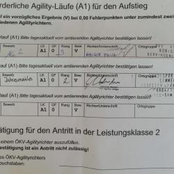 2. Aufstiegsnuller (4. Jahresmeister 7.7.2019)