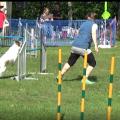 A-Lauf (ÖM 18.-19.5.2019)