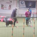 Siegerehrung A-Lauf - 2. Icebear Cup (10.4.22)
