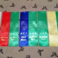 ASCA Agility Trial 1. - 4. Plätze und Qualifikationen (ASCA 5.1.2019)