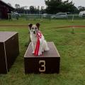 Mara 3. Platz Krenglbach (15.8.2020)