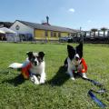 Mara und Mo mit ihrer Rosette (Ready to run Sommerturnier)