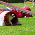 Mara aus dem Tunnel raus - Pfingstbrunch 2022 @Horst Beyer