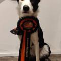 Ylvie Rosette