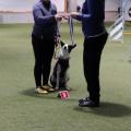 Siegerehrung (2. Icebear Cup 10.12.22)